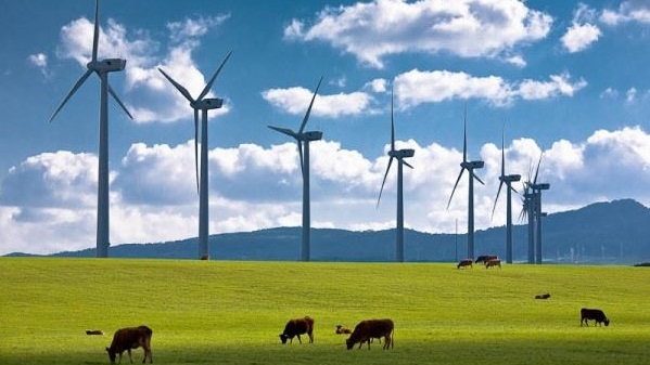 Lisanssız Elektrik Üretimine 1275 Başvuru