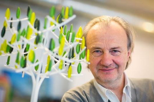 Dünya Bu Enerji Projesini Konuşuyor!