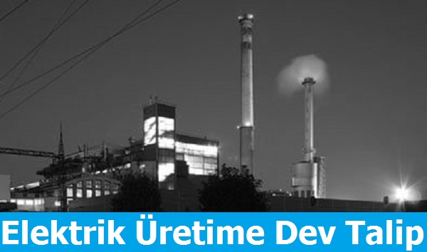 Çek Enerji Devi Özelleştirmelerle ilgileniyor