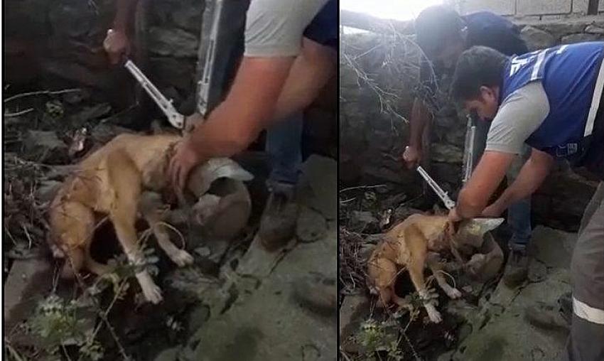 Alkışlar Aras EDAŞ Ekiplerine