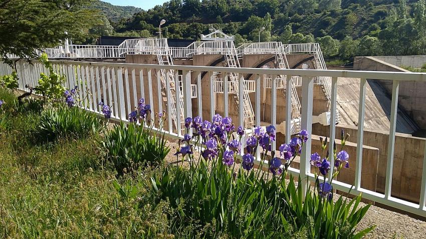 Cumhurbaşkanı EÜAŞ'a Ait Çamlıca 1 HES Özelleştirmesini Onayladı