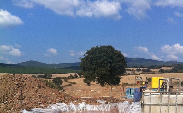 Çan-2 Termik Santraline Önlisans Verildi