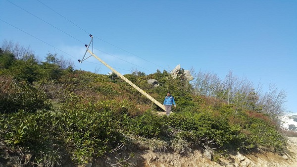 Çoruh EDAŞ'ın Bakım Onarım Çalışmaları Aralıksız Devam Ediyor
