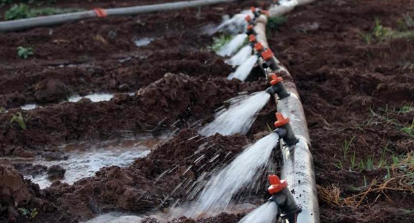 Dicle Elektrikâ€™ten â€˜israf Etmeyinâ€™ Uyarısı