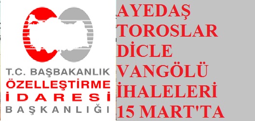Son 4 Elektrik Dağıtım Şirketinin ihalesi 15 Mart Cuma Günü