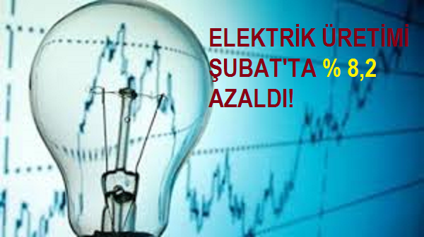 Elektrik Üretimi Geçen Yılın Şubat Ayına Göre %8.2 Düştü