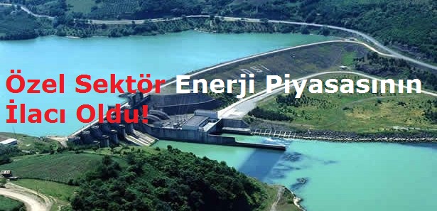 Özel Sektör Enerji Piyasasının ilacı Oldu!