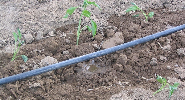 Su Hortumuna Gizlenmiş 80 Metrelik Kaçak Hat