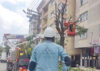 SEDAŞ’ın Gebze’deki Hat Bakım Çalışması Aralıksız Sürüyor