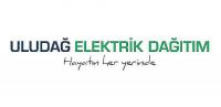 UEDAŞ ve Uludağ Elektrik Hisseleri Actis'e Devredildi