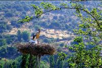 Adm Elektrik 2022 International Business Awards®'ta Altın Stevie Ödülünü Kazandı