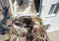 UEDAŞ Çalışanlarından Örnek Davranış 