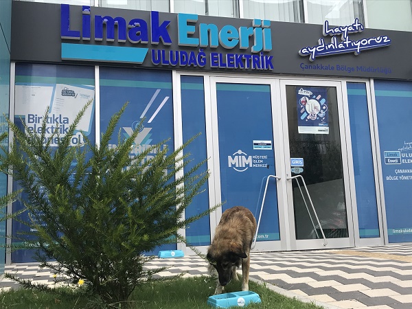 Limak Enerji, Yaz Sıcaklarında Sokak Hayvanlarına Can Suyu Oluyor