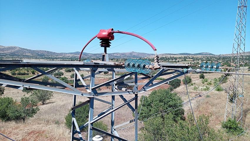 Kuşların Göç Yolları OEDAŞ İle Güvende