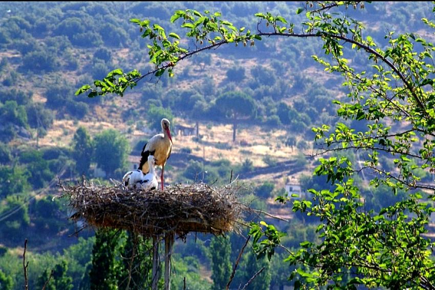 Adm Elektrik 2022 International Business Awards®'ta Altın Stevie Ödülünü Kazandı