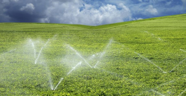 Elektrik Borcu Olan Çiftçiler için Flaş Karar