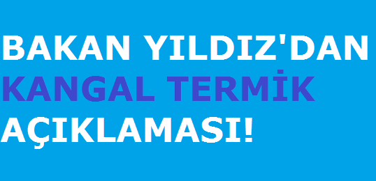 Bakan Yıldız'dan Kangal Termik Açıklaması