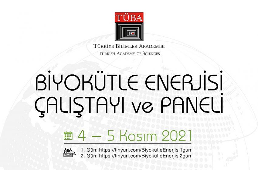 TÜBA Biyokütle Enerjisi Çalıştayı ve Paneli 4-5 Kasım'da Gerçekleştirilecek