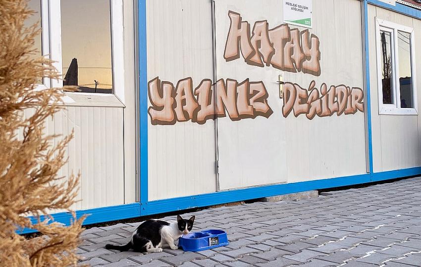 Uludağ Enerji, Hatay Kampüsünde Sokak Hayvanlarını Yalnız Bırakmadı 