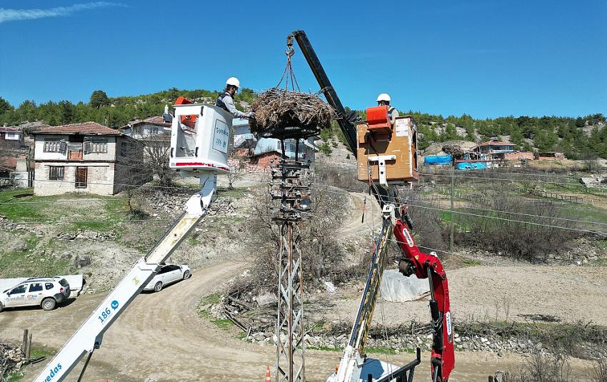 YEDAŞ Leyleklere Yuva Yaptı