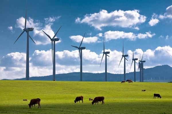 Yenilenebilir Enerji Reformu Kabul Edildi