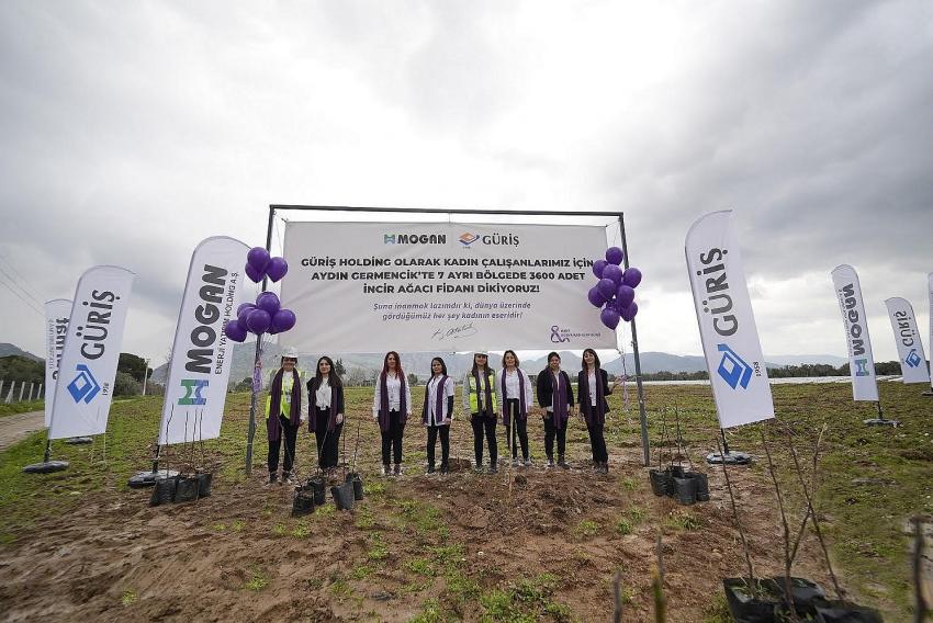 Güriş Holding Kadın Çalışanları İçin 3600 İncir Fidanı Dikti