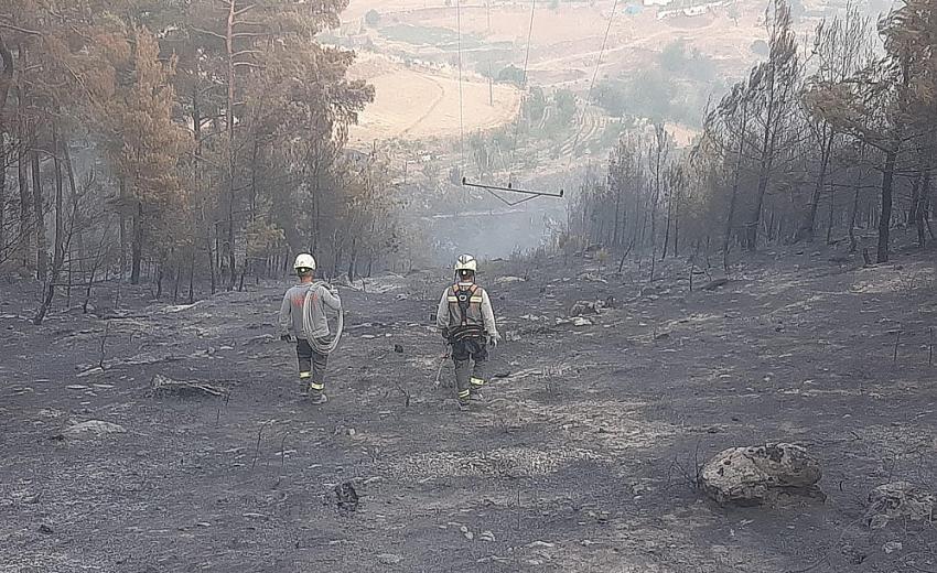 ADM EDAŞ'ın Kahramanları Yangınla Canla Başla Mücadele Ediyor