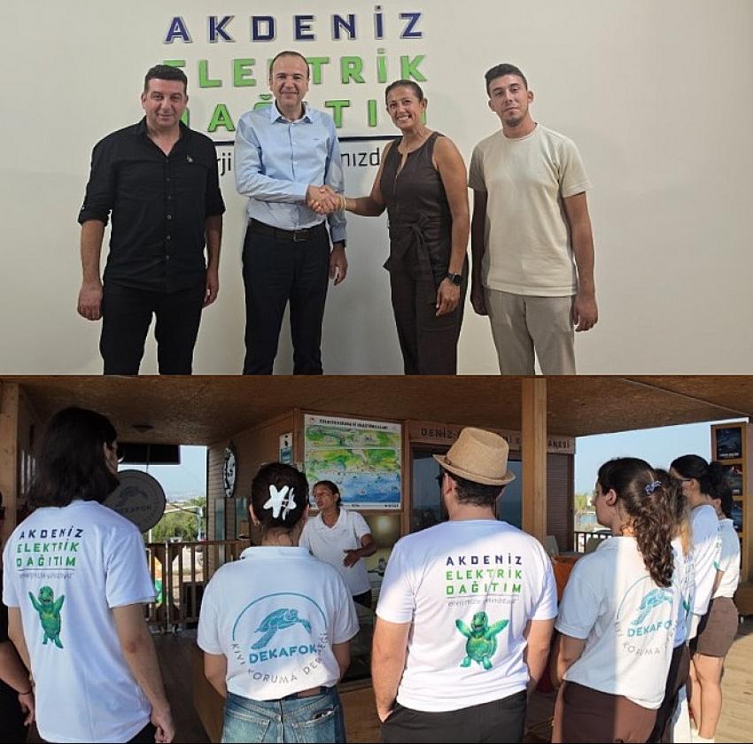 AEDAŞ 5 Bin 500’den Fazla Caretta Caretta'yı Denize Ulaştırdı