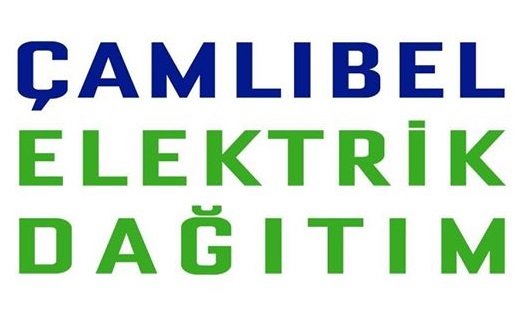 iki ÇEDAŞ Çalışanı Hayatını Kaybetti