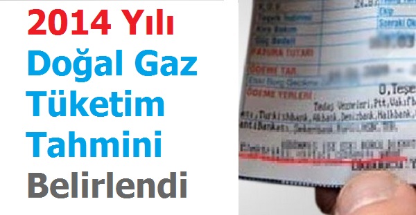 2014 Yılı Doğal Gaz Tüketim Tahmini Belirlendi