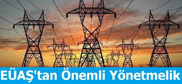 Elektrik Enerjisi ve Kapasite Satış Yönetmeliği