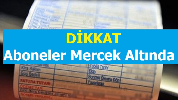 Elektrik Aboneleri Mercek Altında
