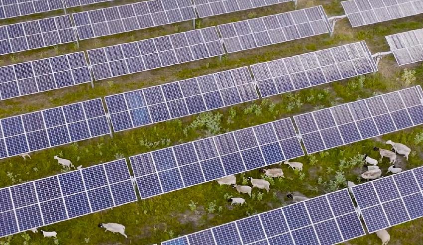 Avrupa'da Güneş Enerjisi Şirketlerinin Karlılığı Rekor Düşük Seviyelerde