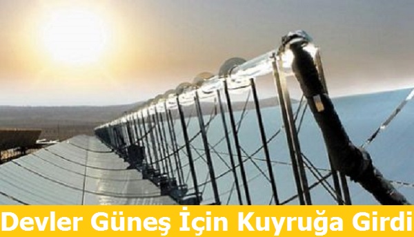 Devler Güneş için Kuyruğa Girdi