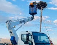 Aras EDAŞ Doğal Yaşamı Koruma Misyonunu Sürdürüyor