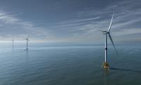 Açık Deniz Rüzgar Santralleri Deniz Ekosistemlerini Güçlendiriyor