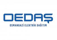 OEDAŞ’tan Yüzde 100 Yenilenebilir Enerji Başarısı 