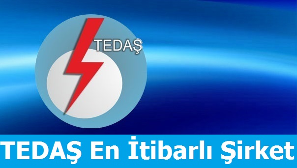 En itibarlı Şirket TEDAŞ