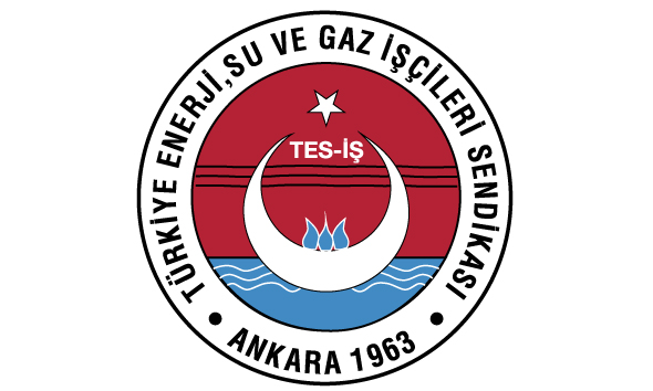 Tes-iş Üyesi EÜAŞ Taşeron işçilerin Hukuk Zaferi