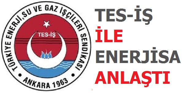 TES-iŞ ile ENERJiSA Anlaştı
