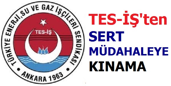 TES-iŞ'ten Kınama