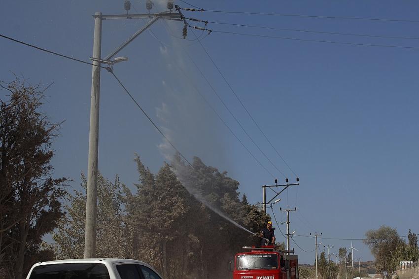 UEDAŞ Kesintisiz Enerji İçin Elektrik Hatlarını Temizliyor